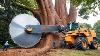 Extreme Dangerous Fastest Big Chainsaw Cutting Tree Machines Monster Stump Removal Excavator 59