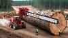 Les Machines De Coupe De Tronçonneuse Les Plus Rapides Et Dangereuses Pour L'abattage D'arbres Et L'excavation D'une Souche De Monstre De 18 Tonnes.